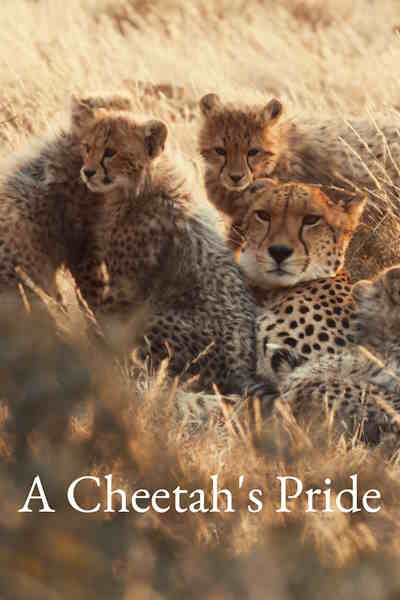 A Cheetahs Pride - Season 1