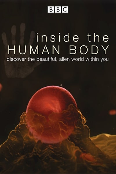 Inside the Human Body - Season 1