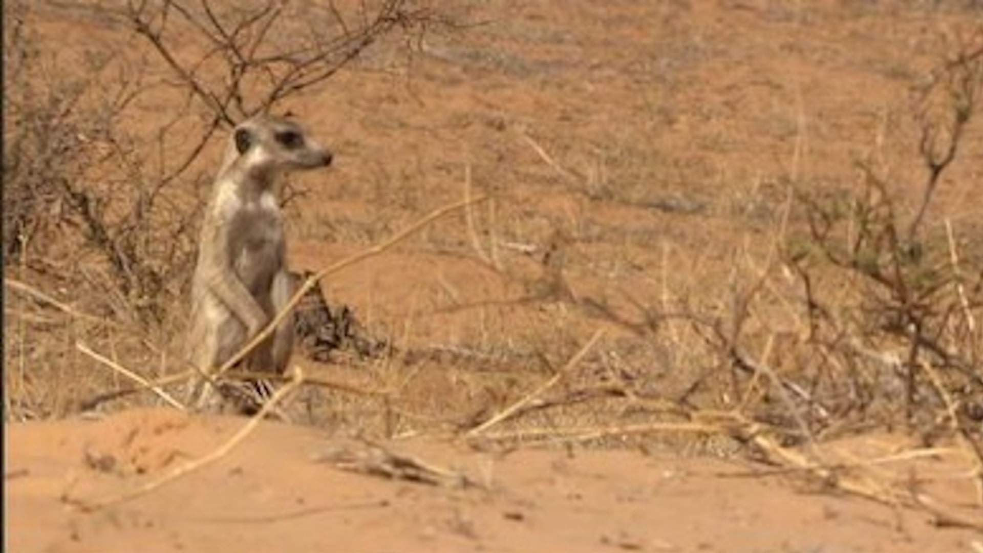 Season 4