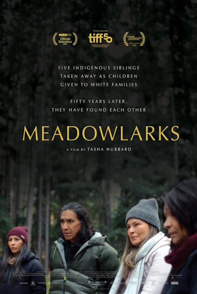 Meadowlarks